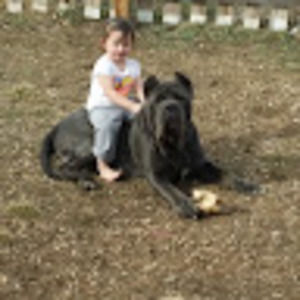 Meet your Posher, Seth